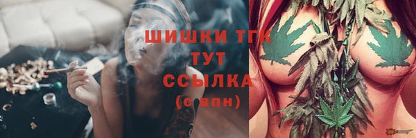 бошки Осташков