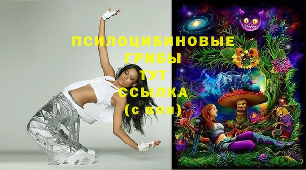 мескалин Осинники