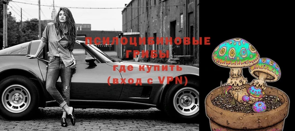 бошки Осташков
