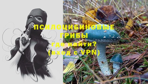 СК Пересвет