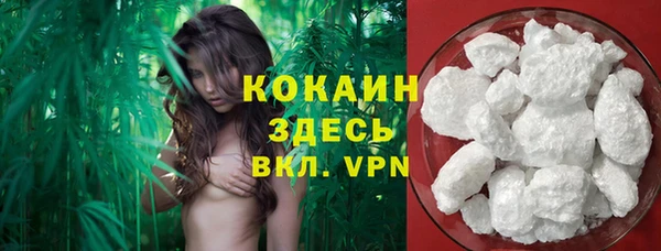 СК Пересвет