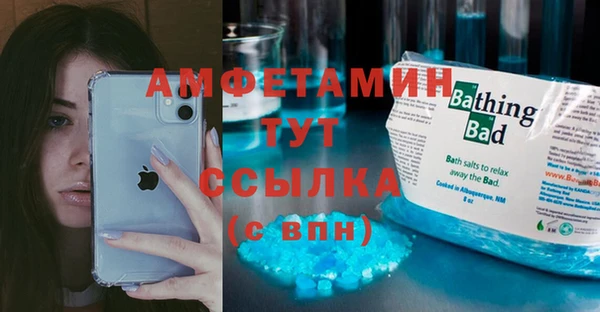 СК Пересвет