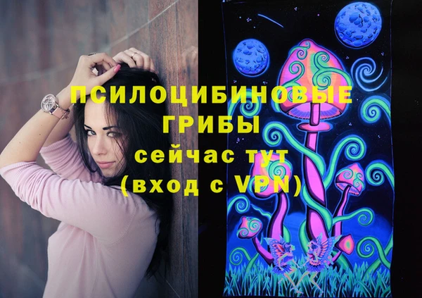 бошки Осташков