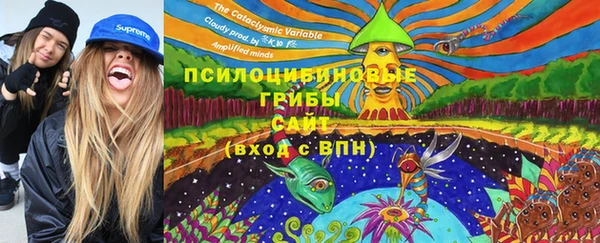 СК Пересвет