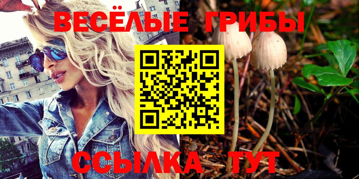 Псилоцибиновые грибы мухоморы  Псилоцибиновые грибы прущие грибы  Вход с VPN  Советский 